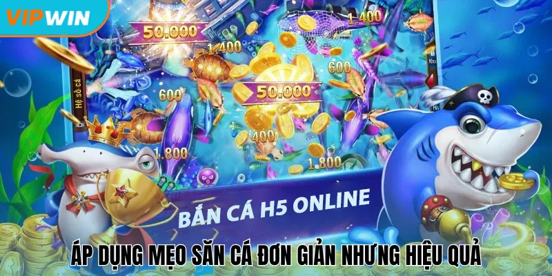 Áp dụng mẹo săn cá đơn giản nhưng hiệu quả