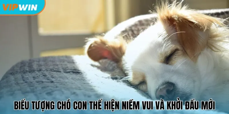 Biểu tượng chó con thể hiện niềm vui và khởi đầu mới