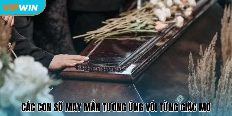 Các con số may mắn sẽ có sự tương ứng với từng giấc mơ