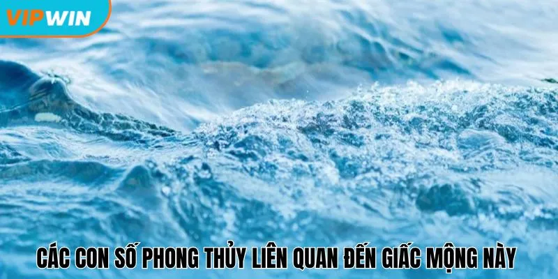 Các con số phong thủy liên quan đến giấc mộng này