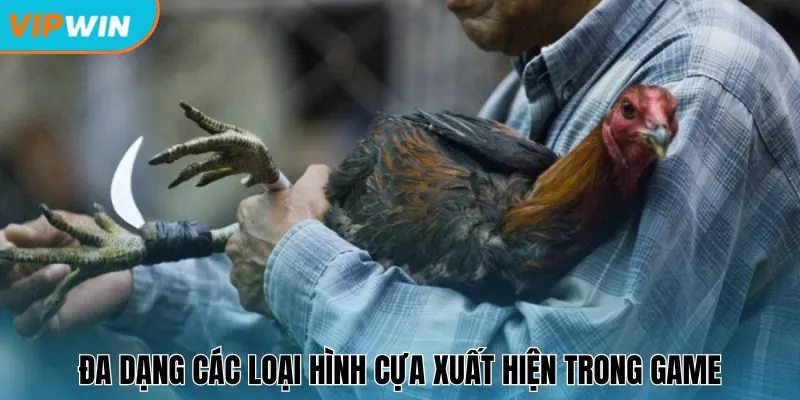 Đa dạng các loại hình cựa xuất hiện trong game