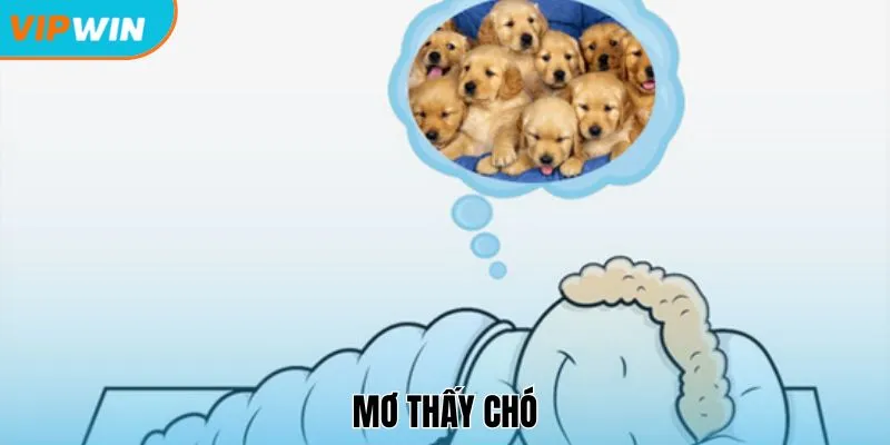 Mơ thấy chó