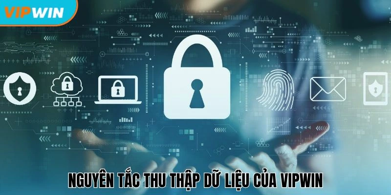 Nguyên tắc thu thập dữ liệu của Vipwin
