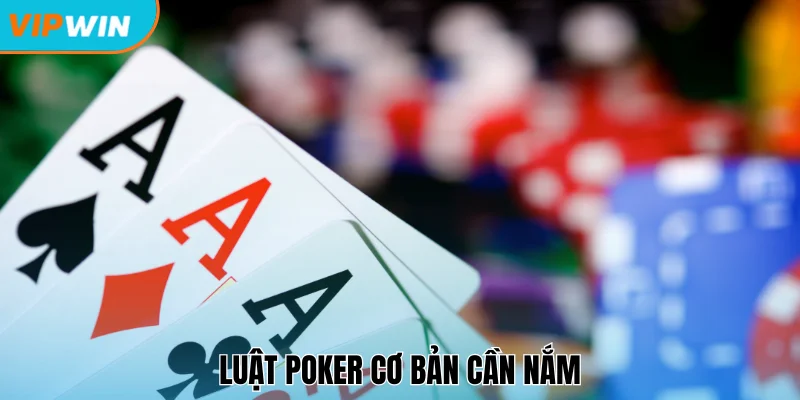 Quy tắc diễn ra trong từng vòng bài