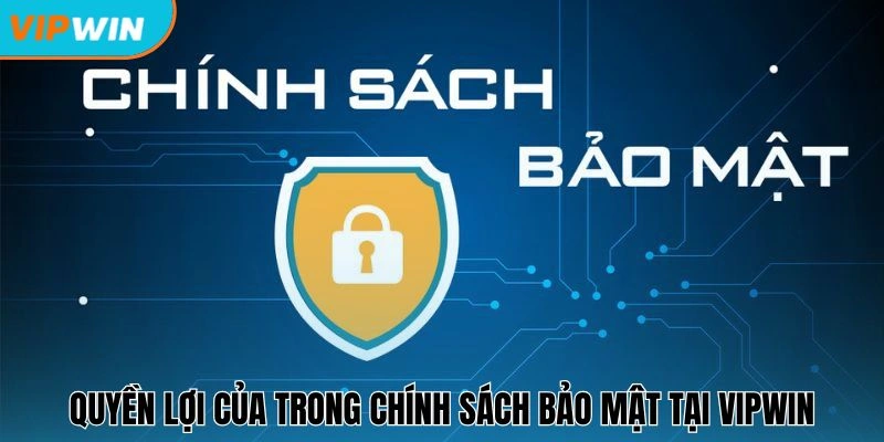 Quyền lợi của trong chính sách bảo mật tại Vipwin