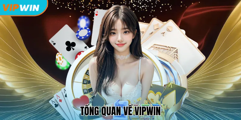 Tổng quan về Vipwin