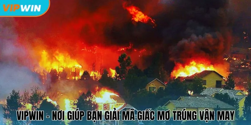 Vipwin - nơi giúp bạn giải mã giấc mơ trúng vận may