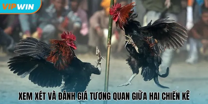 Xem xét và đánh giá tương quan giữa hai chiến kê